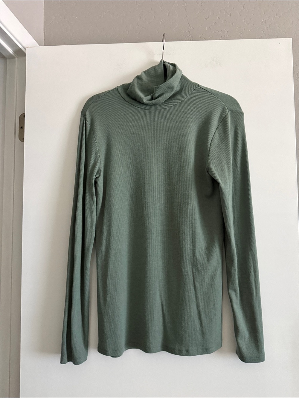Woolx Sage Merino Blend Turtle Neck